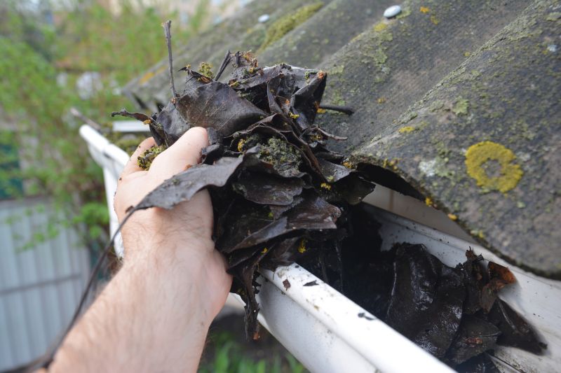 Downspout Cleaning in Richmond, VA