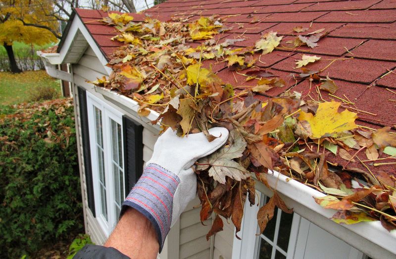 Gutter Blockage Removal in Annapolis, MD